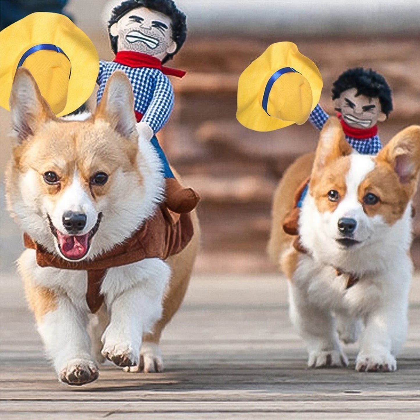 Dog Cowboy Costume With Loop Fasteners Dog Halloween Costumes