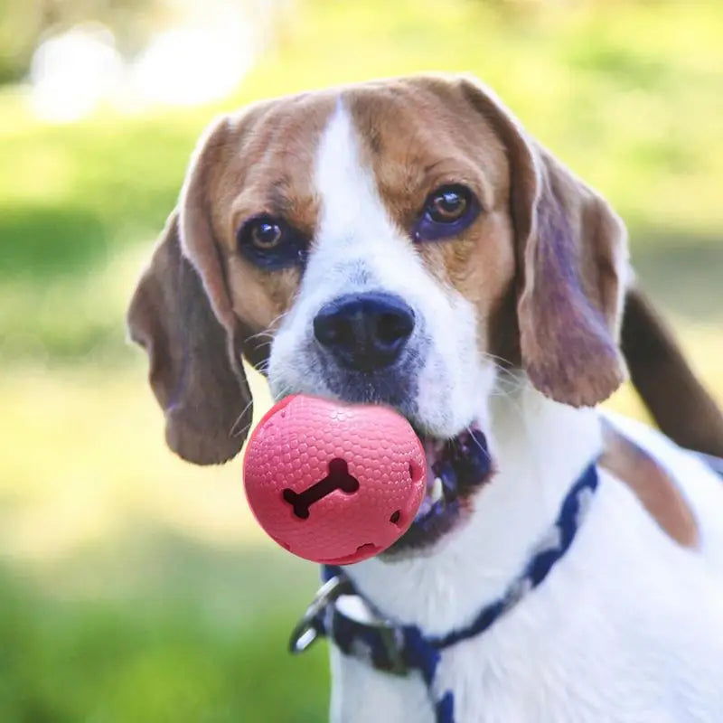 Dog Fetch Ball Treat Dispenser Fun Sounds Interactive Dog Toys