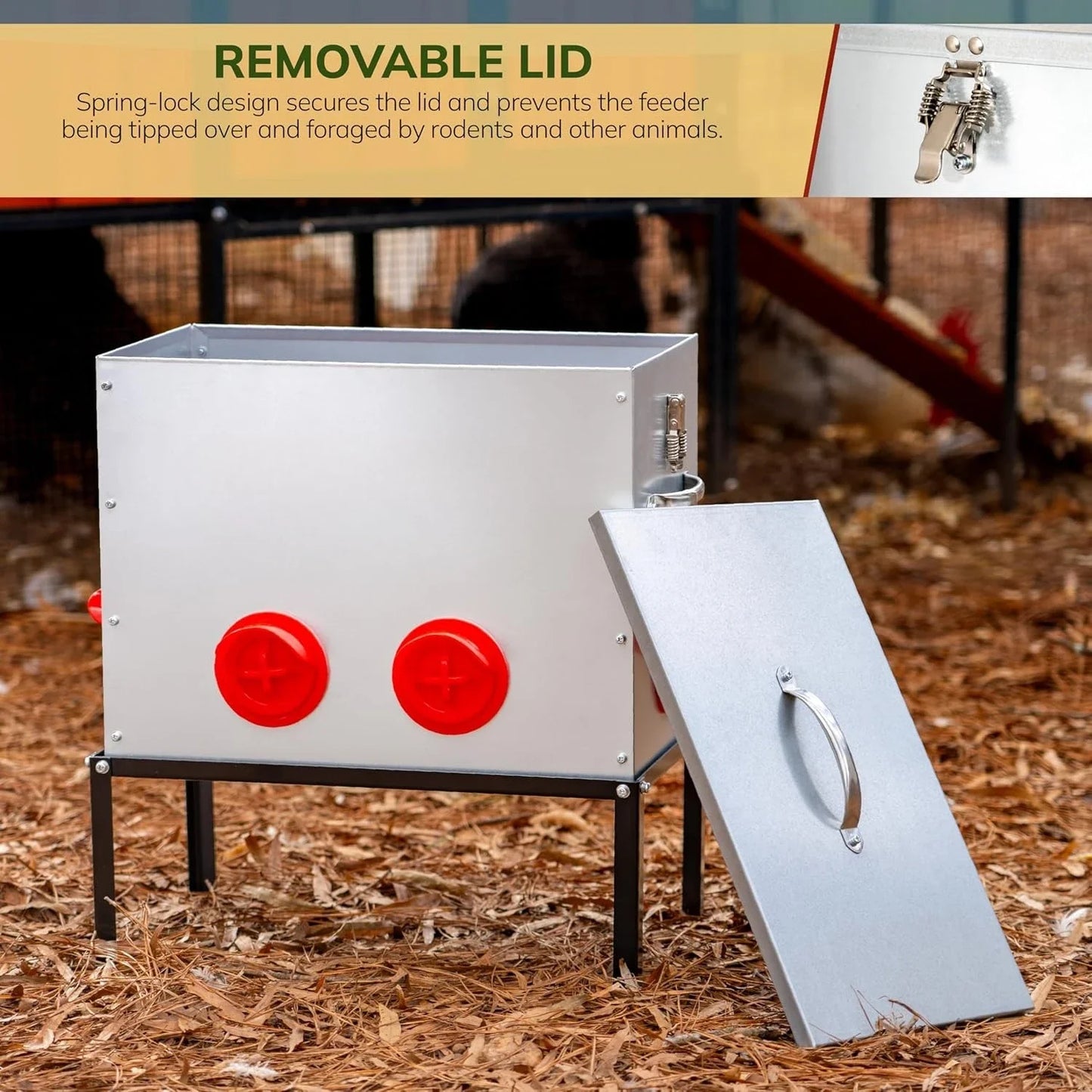 Automatic Chicken Feeder No Waste