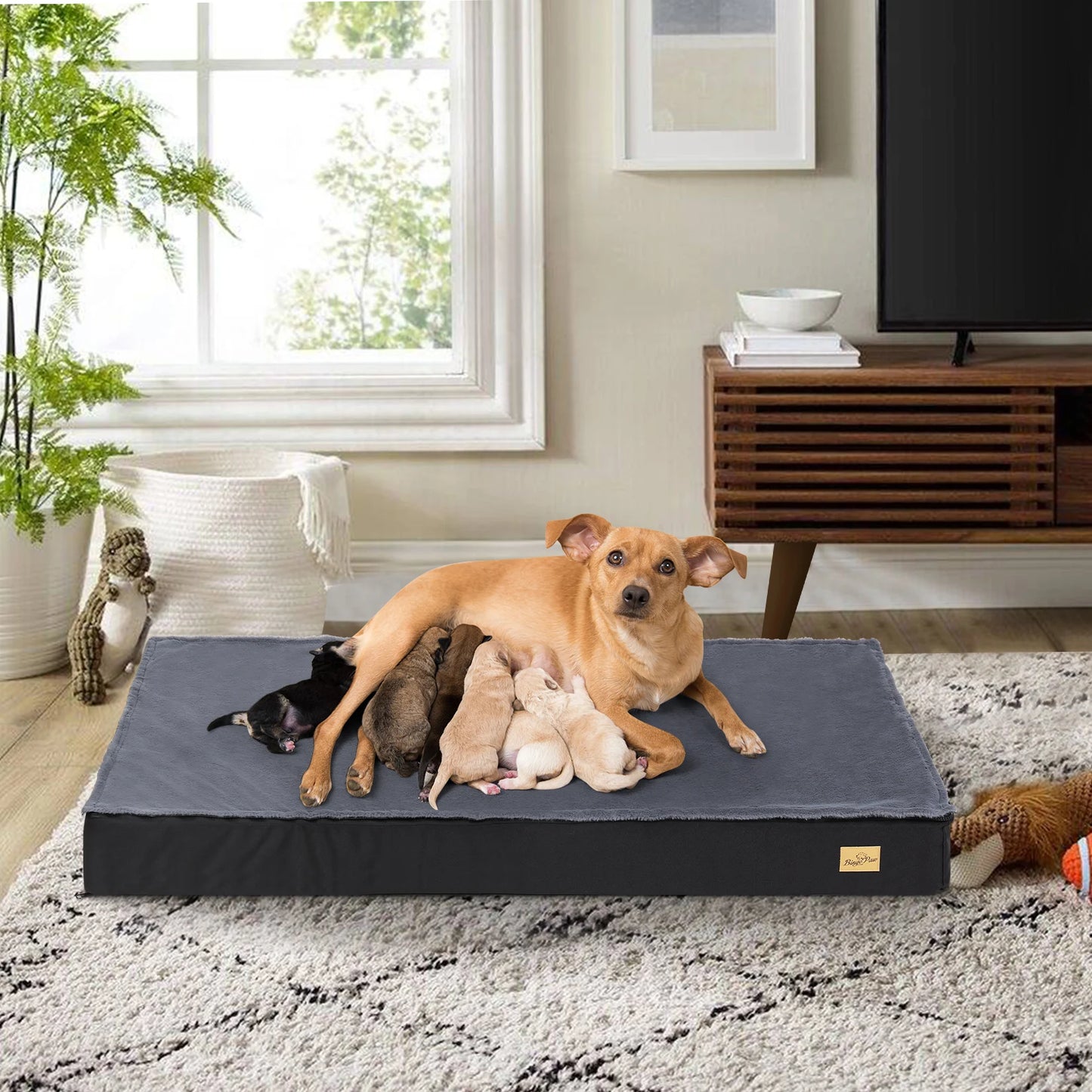 Washable Orthopedic Dog Bed for Large Dogs