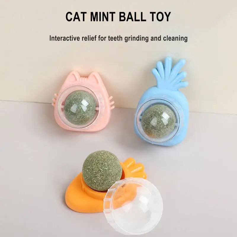 Catnip Wall Ball Catnip Wall Spin Ball Edible Cat Catnip Toys Promotes Digestion Catnip Rollerbal