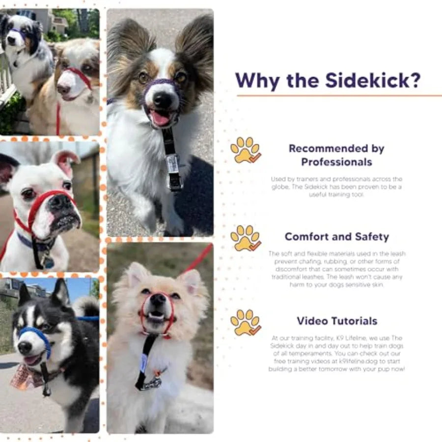 The Sidekick NoPull Leash Blue for Dogs Perfect for Walking in Busy Urban Areas