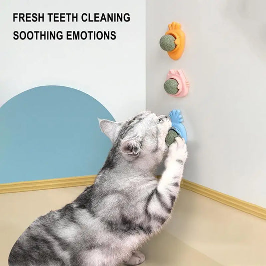 Catnip Wall Ball Catnip Wall Spin Ball Edible Cat Catnip Toys Promotes Digestion Catnip Rollerbal