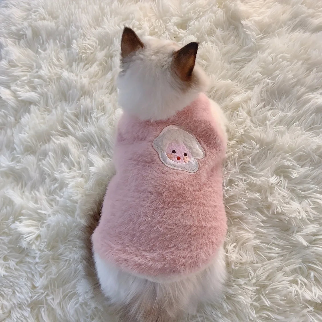 Warm Kittens and Dog Clothes for Winter