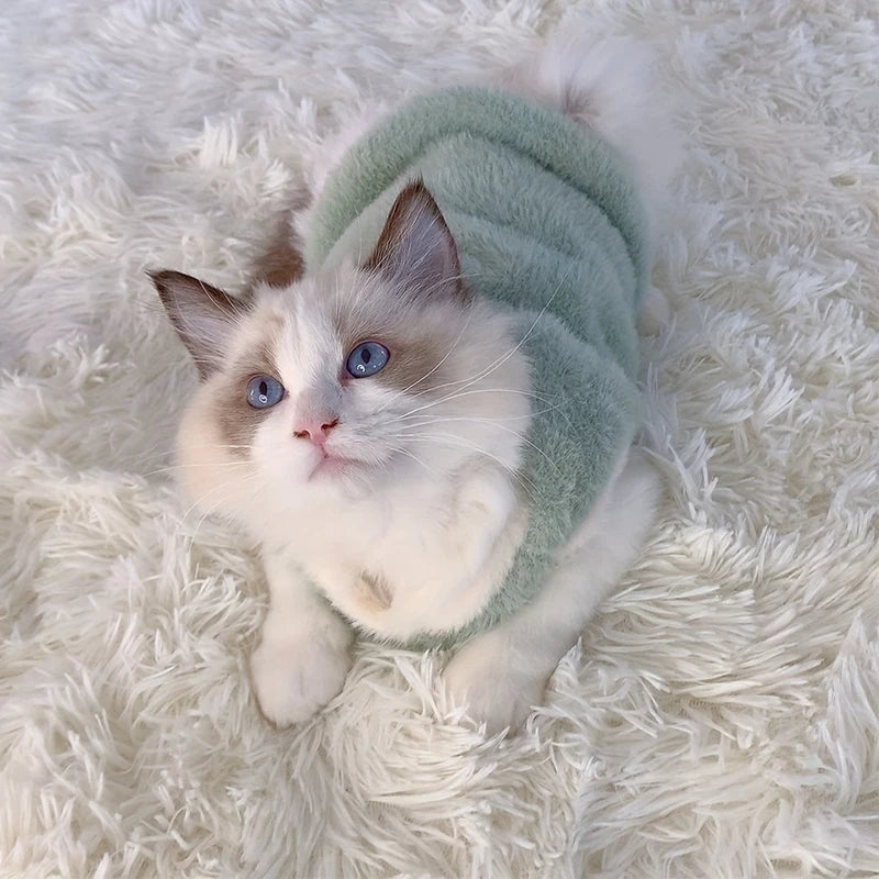 Warm Kittens and Dog Clothes for Winter