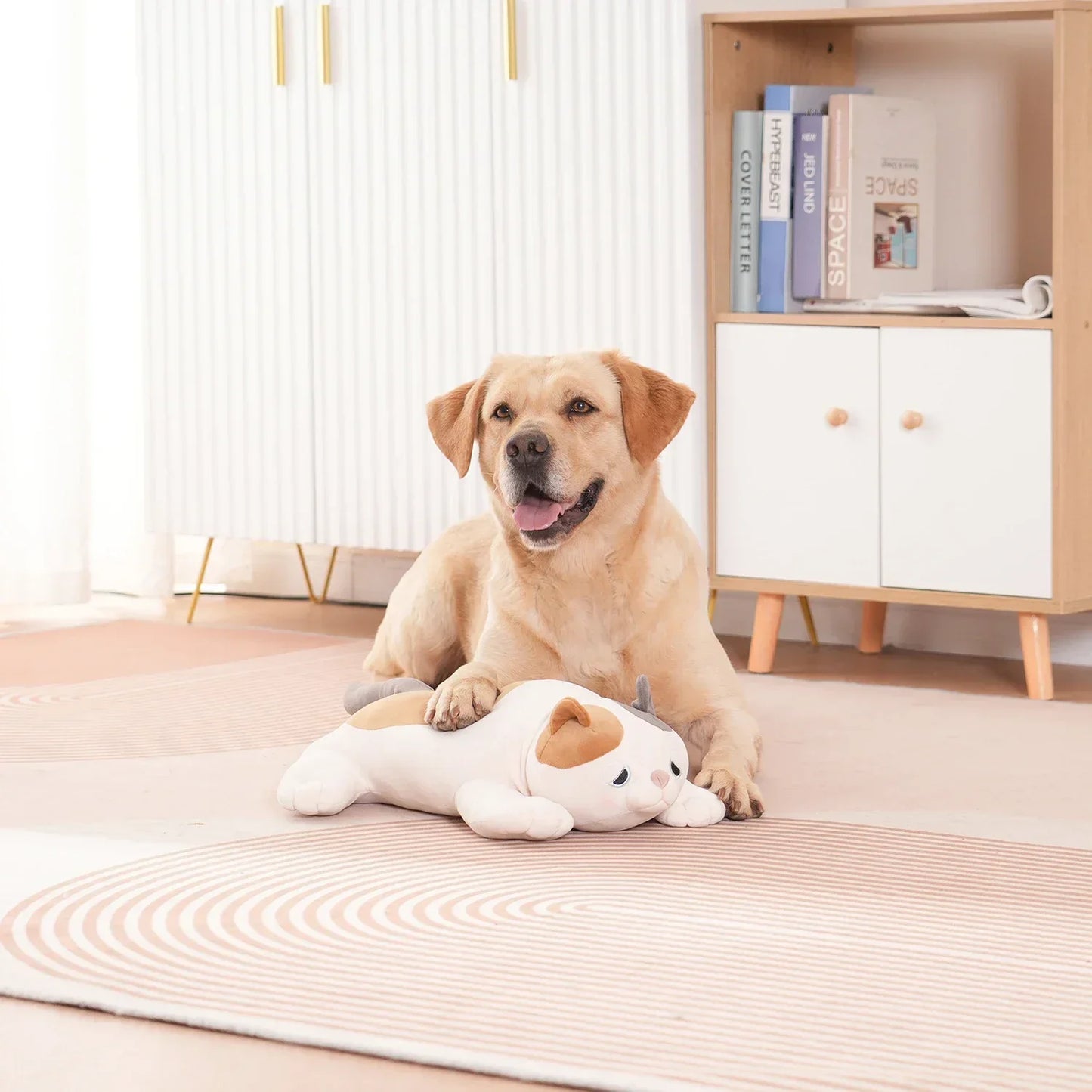 Puppy Heartbeat Stuffed Toy. Pet stress Relief and Calming Aid,  Toys for Dog Relief, Plush Squeaky Chew Toy for Pets