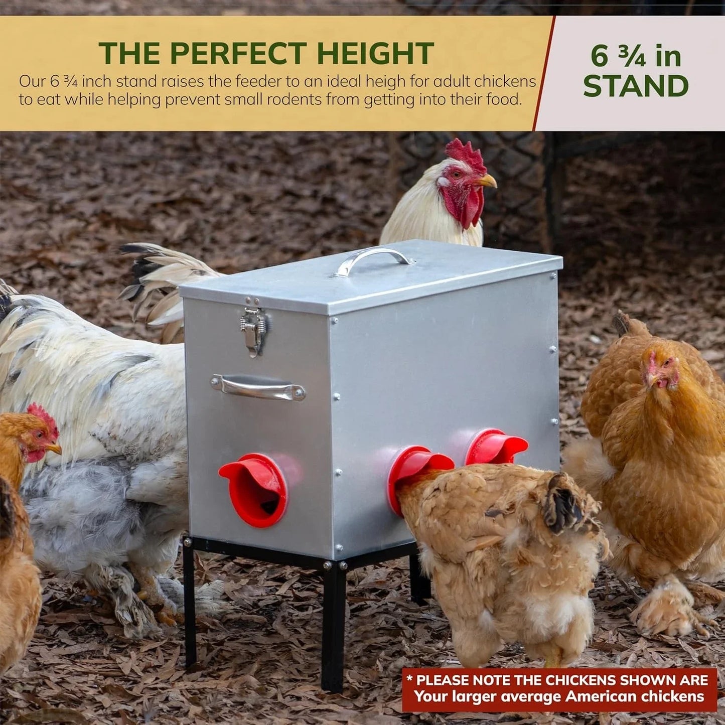 Automatic Chicken Feeder No Waste