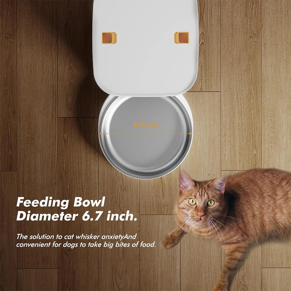 Automatic Cat Dog Feeders with Key Control