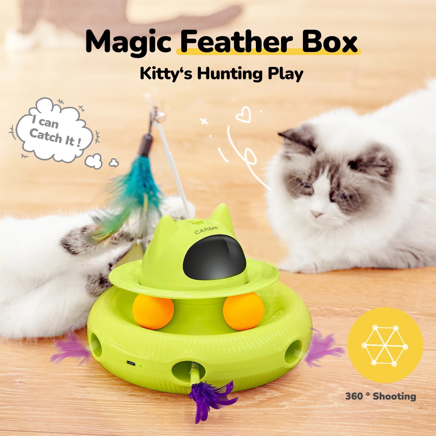 Magic Box Cat Teaser,