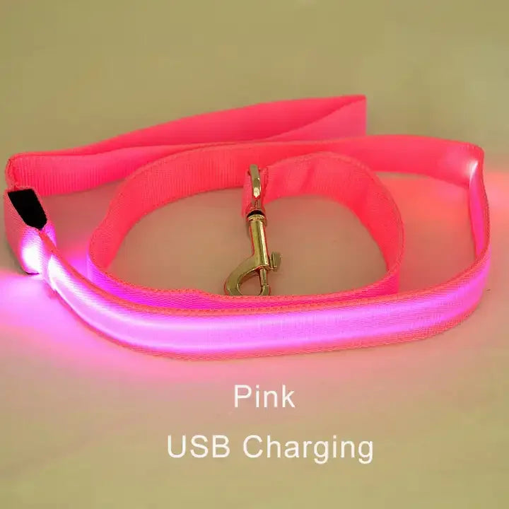Dog Safety Flashing Glowing Dog Collar Harness Electronic Pet Accessories