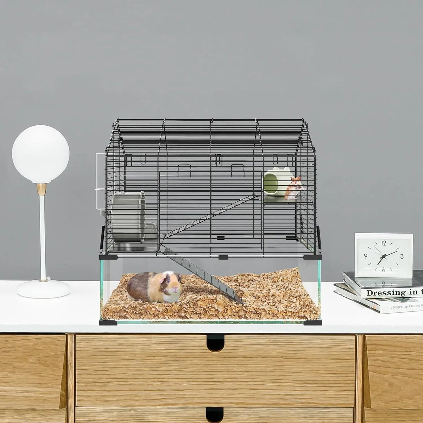 Transparent Small Animal Cage Habitats with Water Bottle