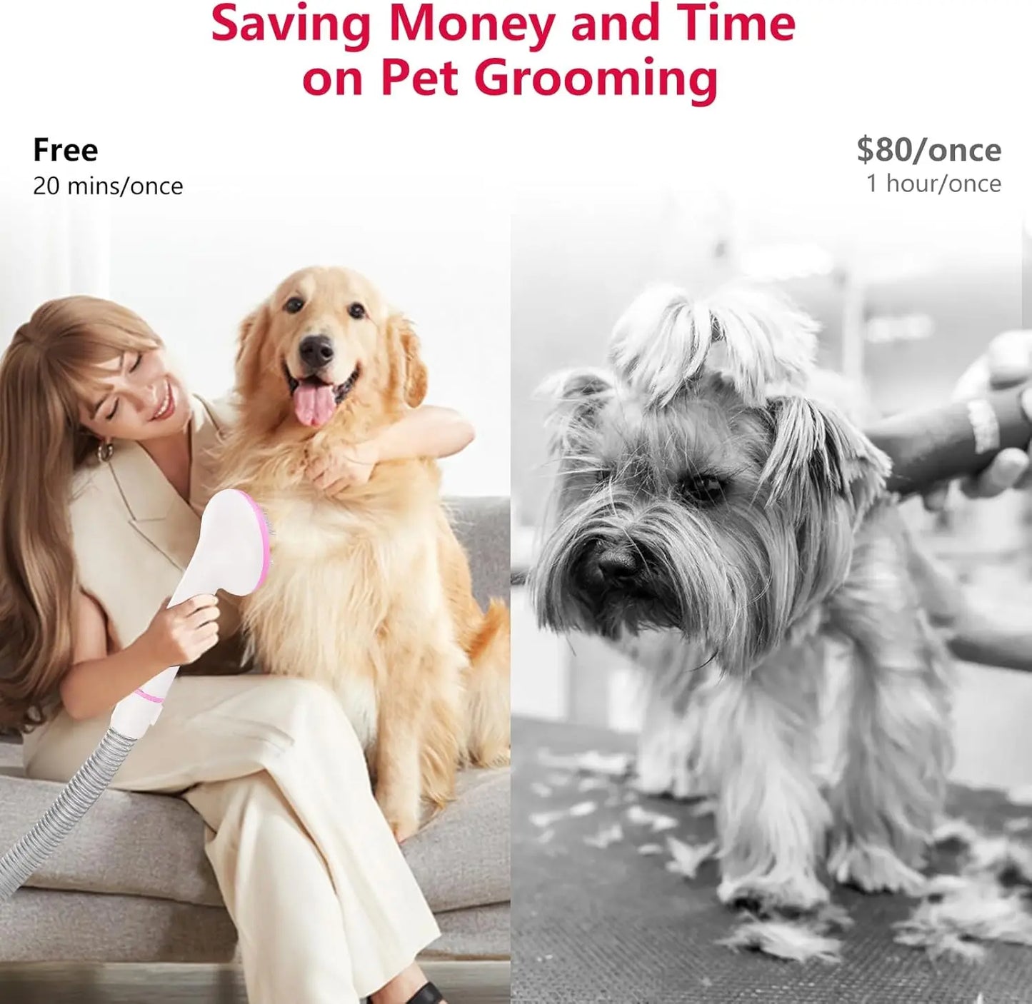Pet Grooming Vacuum,  Multi-Functional