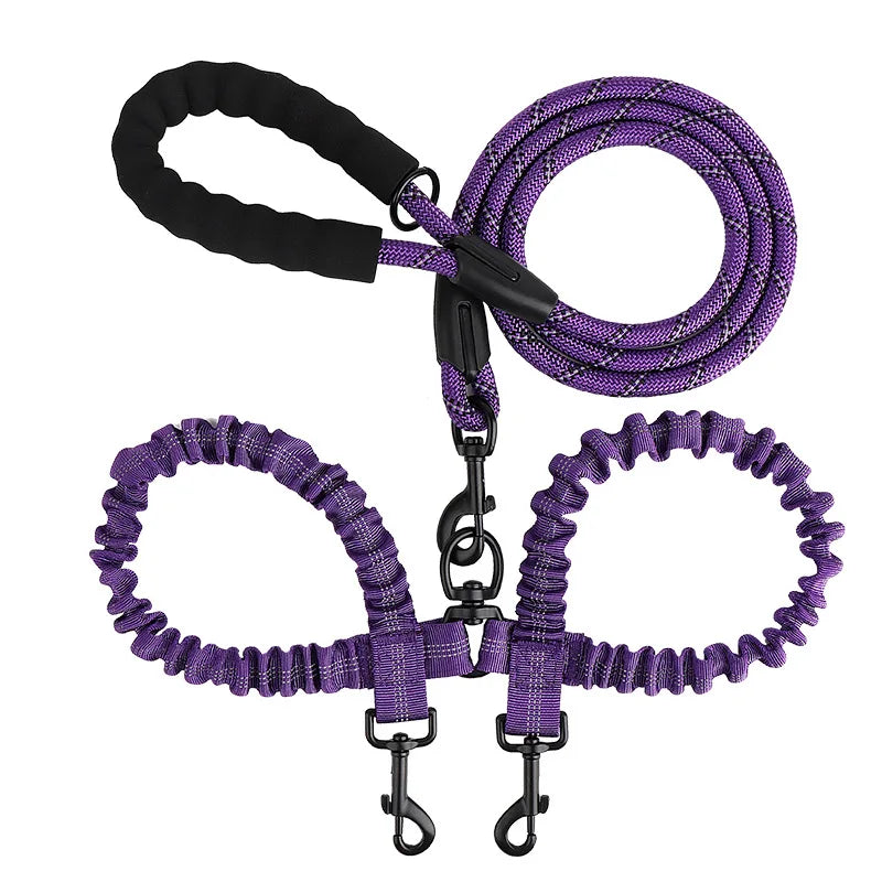 Two Dogs Collars Harness Leads Dog Leashes Dogs Leash Way Coupler Walk Two