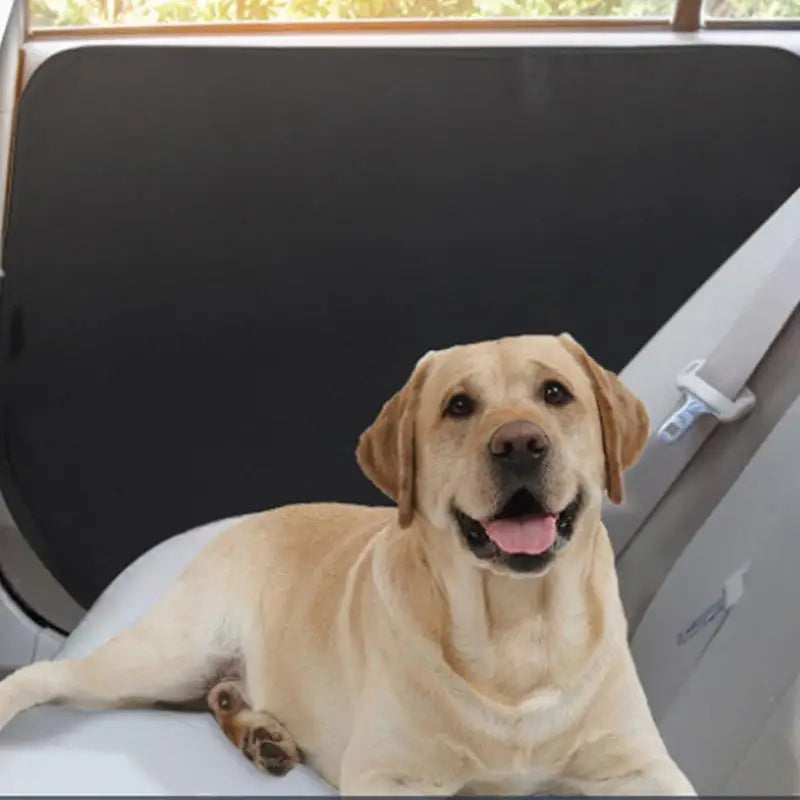 Door Protector Scratch Guard Waterproof 2pcs Pet Vehicle Door Guard Car Protector