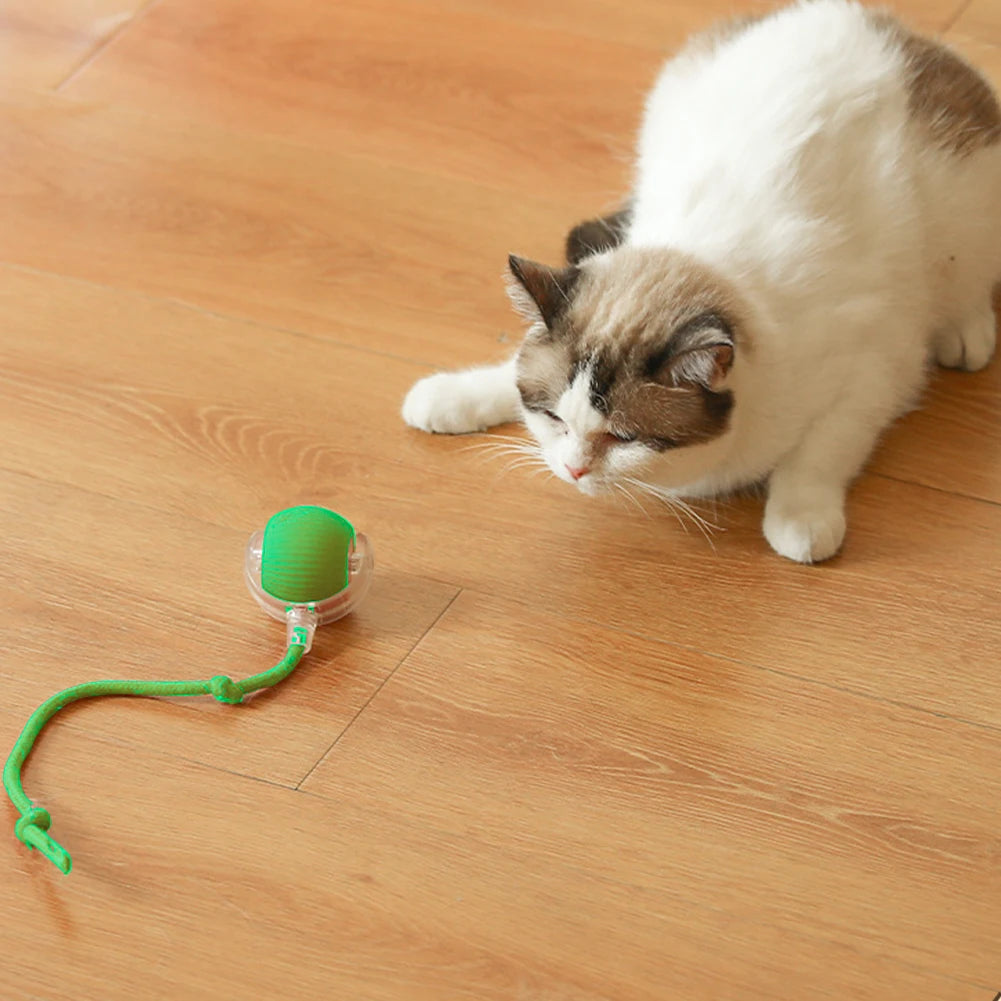1PCS Cat Interactive Rechargeable Self Rotating Ball