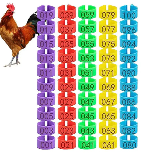 Duck Chicken Poultry Leg Tags Numbered