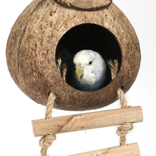 Hanging Coconut Bird House with Ladder, Nest Hut for Parrots & Small Birds