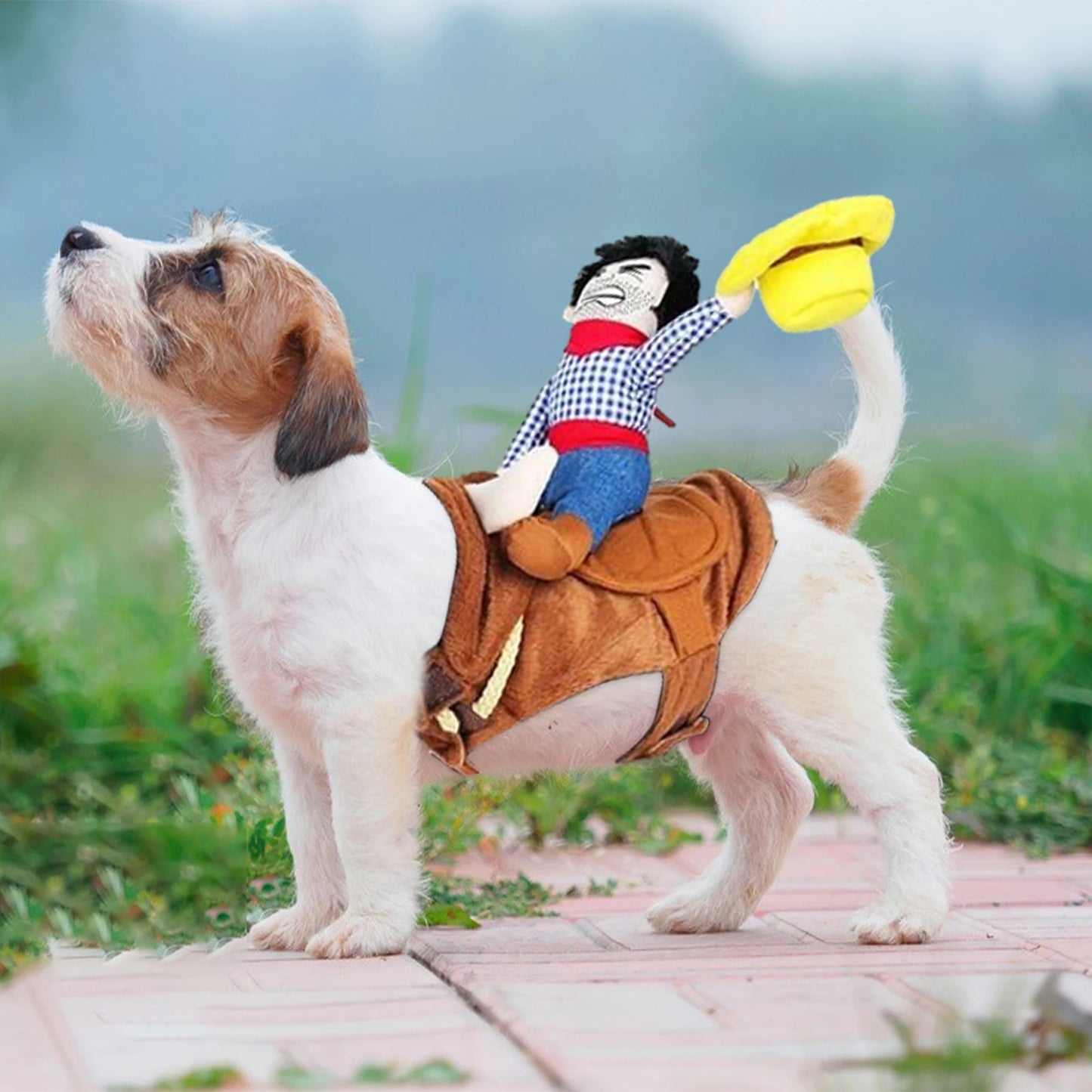 Dog Cowboy Costume With Loop Fasteners Dog Halloween Costumes