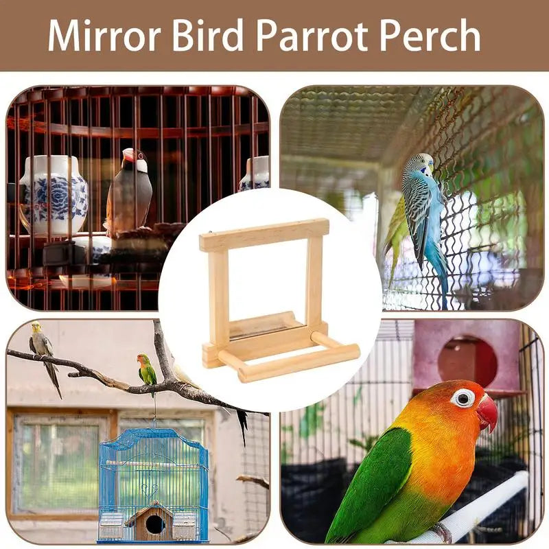 Bird Mirror Perches