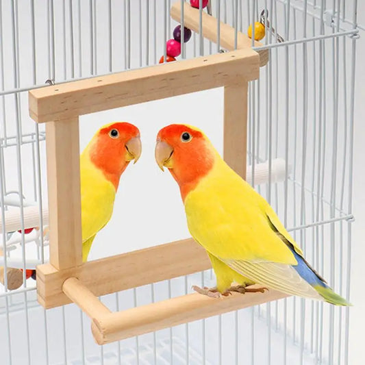 Bird Mirror Perches