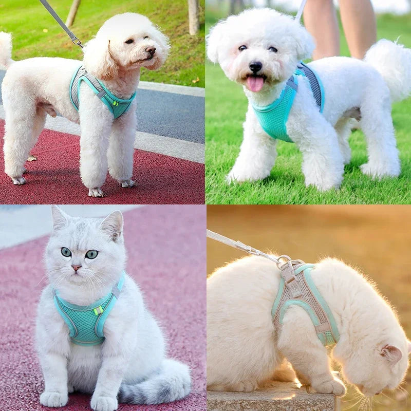 Adjustable Cat Harness Leash Escape Proof Kitten Dog Harness