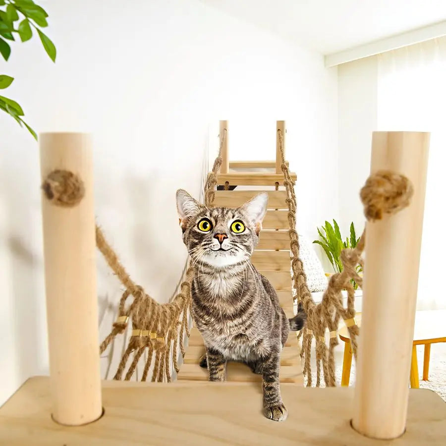 Cat Wall Shelves 70 Cat Bridge Hammock Tree with Mounted Perch