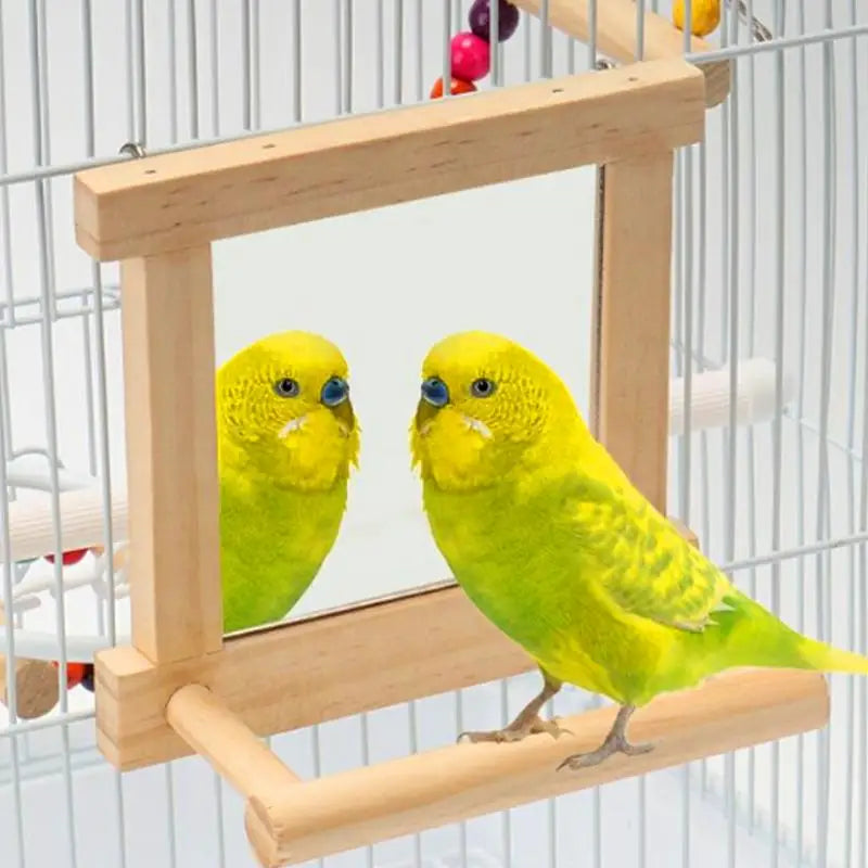 Bird Mirror Perches