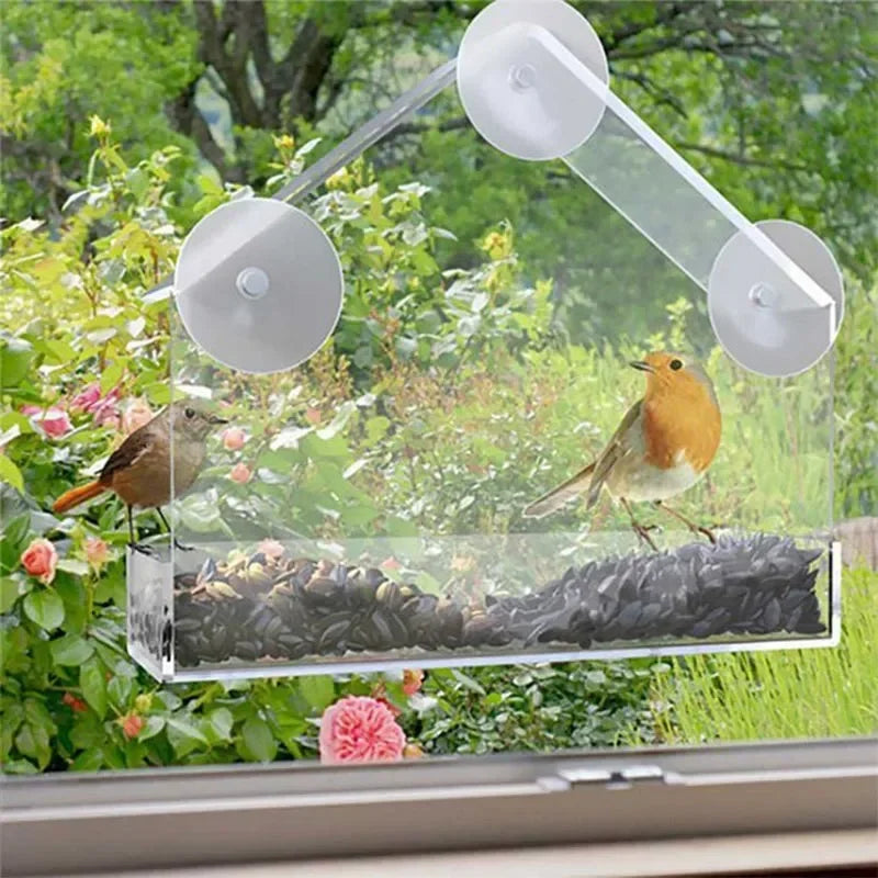 Transparent Window Wild Bird Feeder