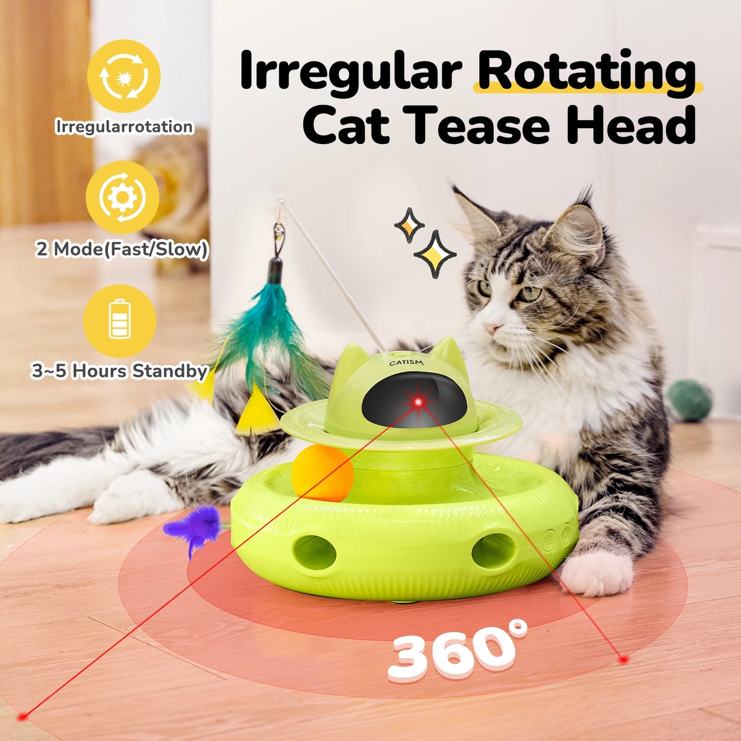 Magic Box Cat Teaser,