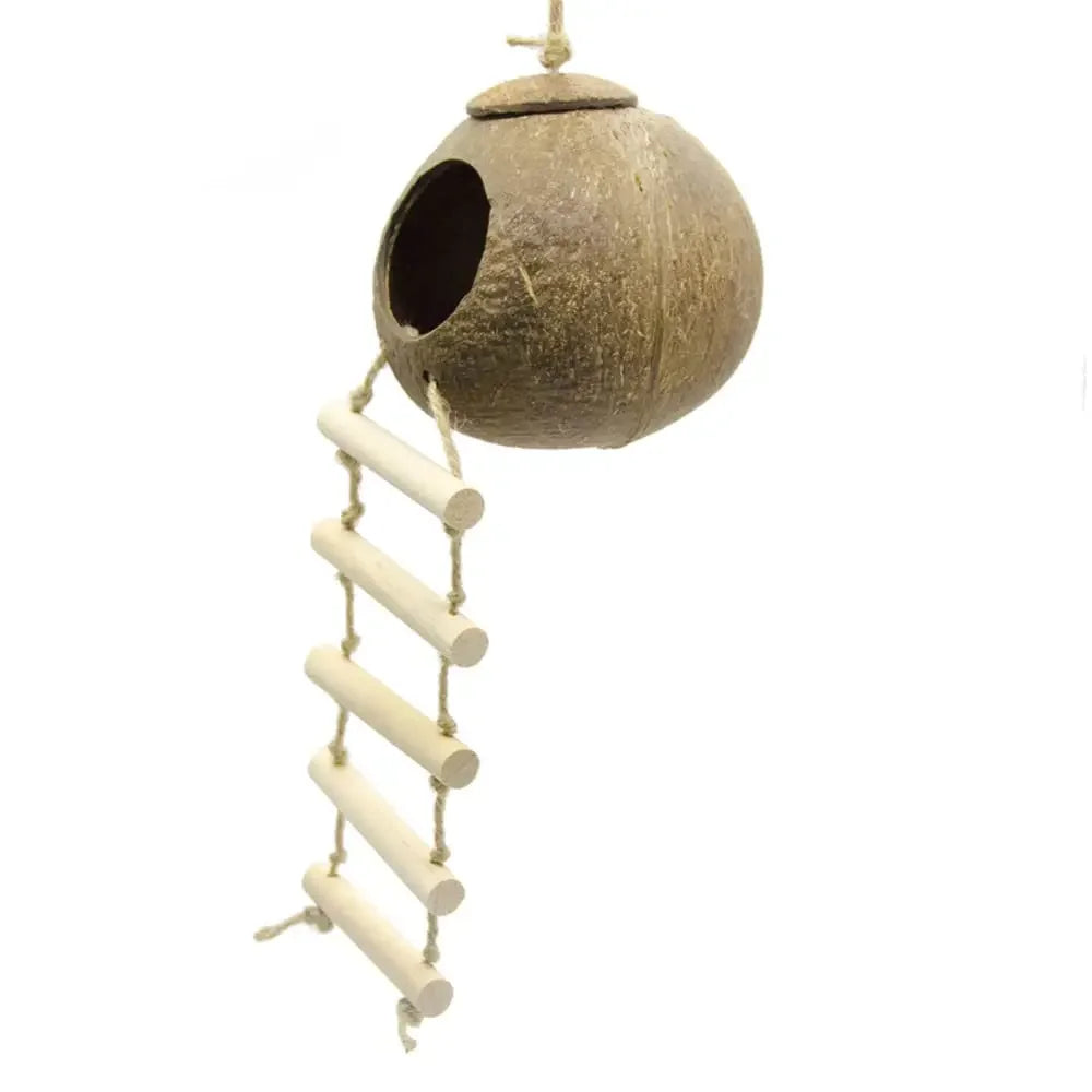 Hanging Coconut Bird House with Ladder, Nest Hut for Parrots & Small Birds