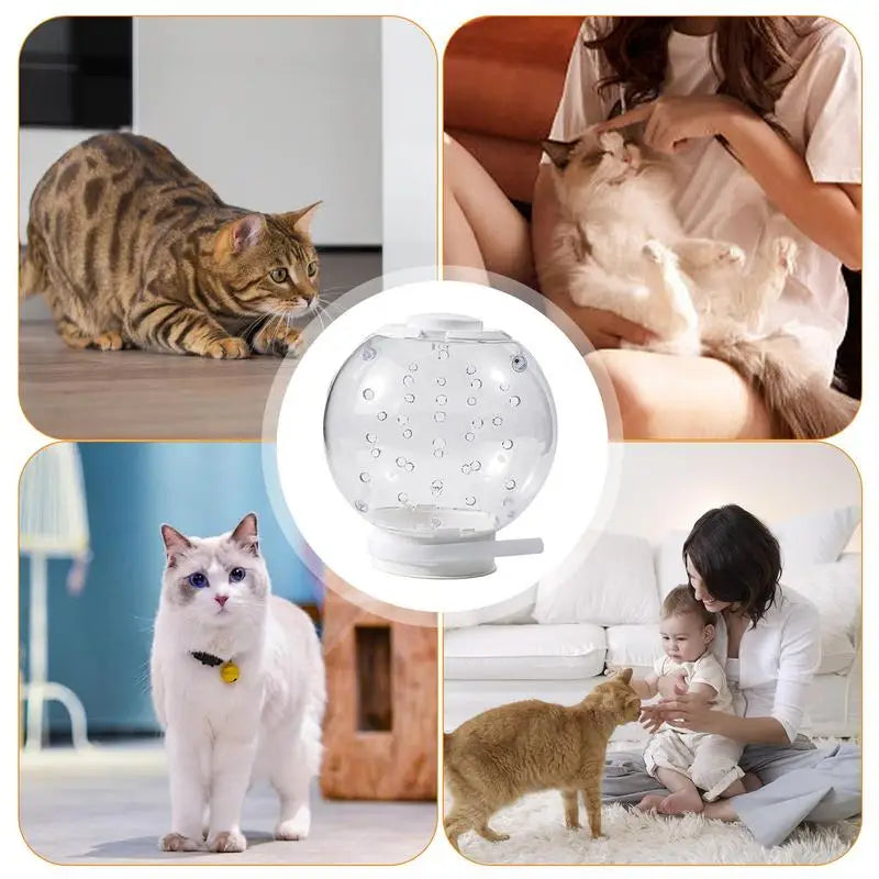 Cat Grooming Masque Clear Hood Pet Grooming Cover Accessory Prevent from Cats Biting Chewing
