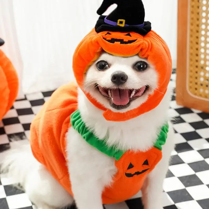 Halloween Cat Dog Costumes Pumpkin