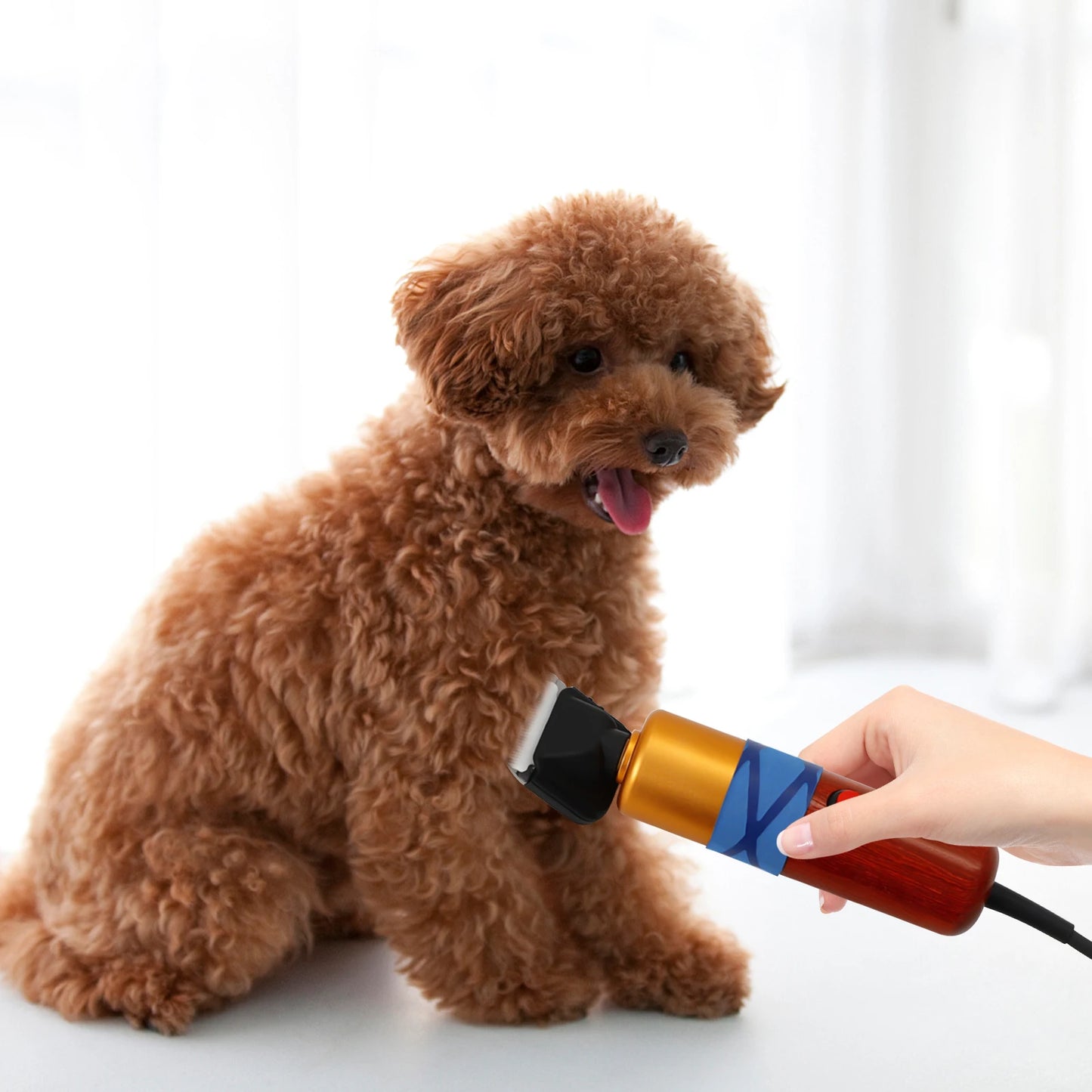 High-efficiency Professional Electric Variable Speed Hair Shearing For Sheep Dogs Cats Pet