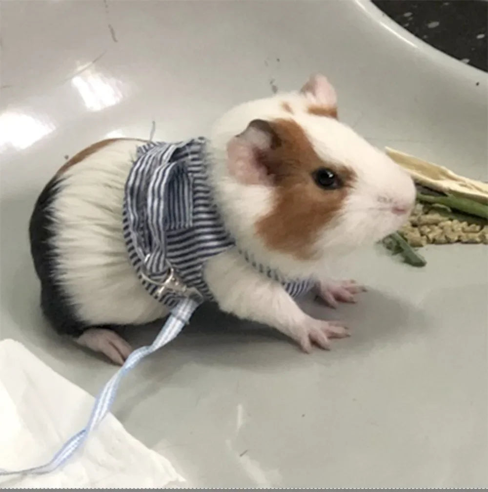 Guinea Pig Harness  Ferret Chinchilla Bunny Puppy Mesh Chest Strap