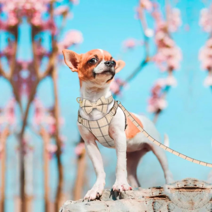 Extra Small Dog Harness Collar and Leash Set with Bowtie Soft Adjustable Plaid Puppy Harness for Small Sized Dogs Cats