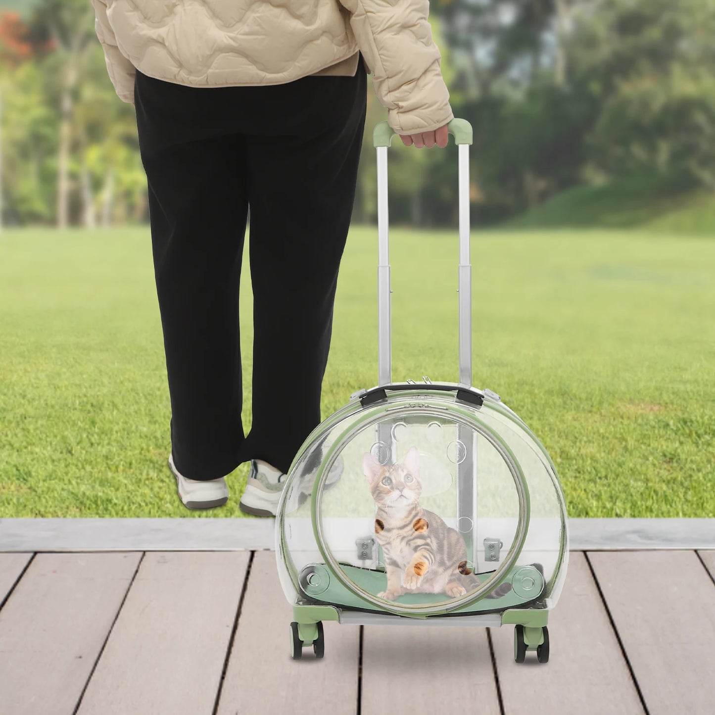 Rolling Cat Carrier with Wheels Telescopic Handle PC Pet Travel Bag Clear Bubble Cat Trolley Backpack for Vet Trip Outdoor