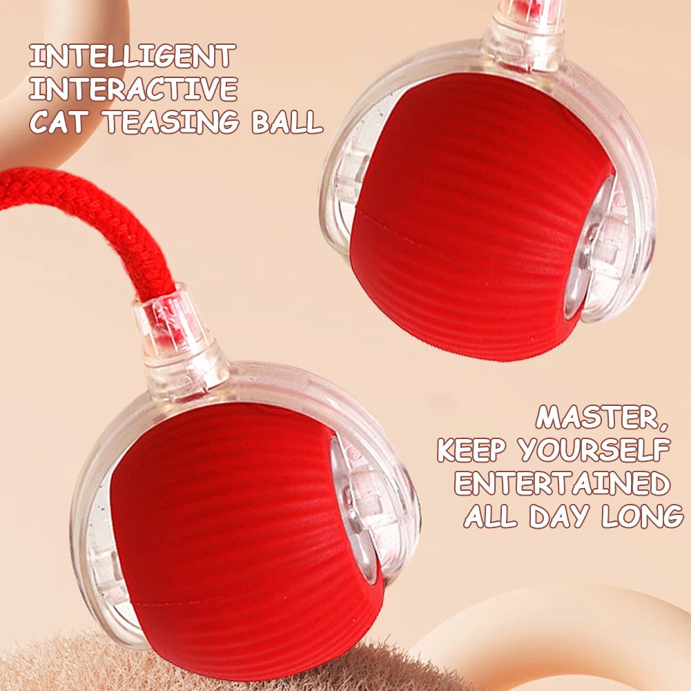 1PCS Cat Interactive Rechargeable Self Rotating Ball