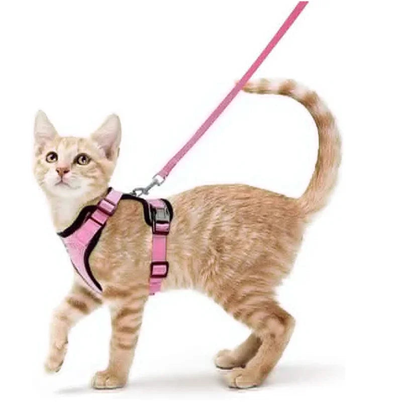 Cat Harness and Leash for Walking, Escape Proof Soft Adjustable Vest Harnesses for Cats