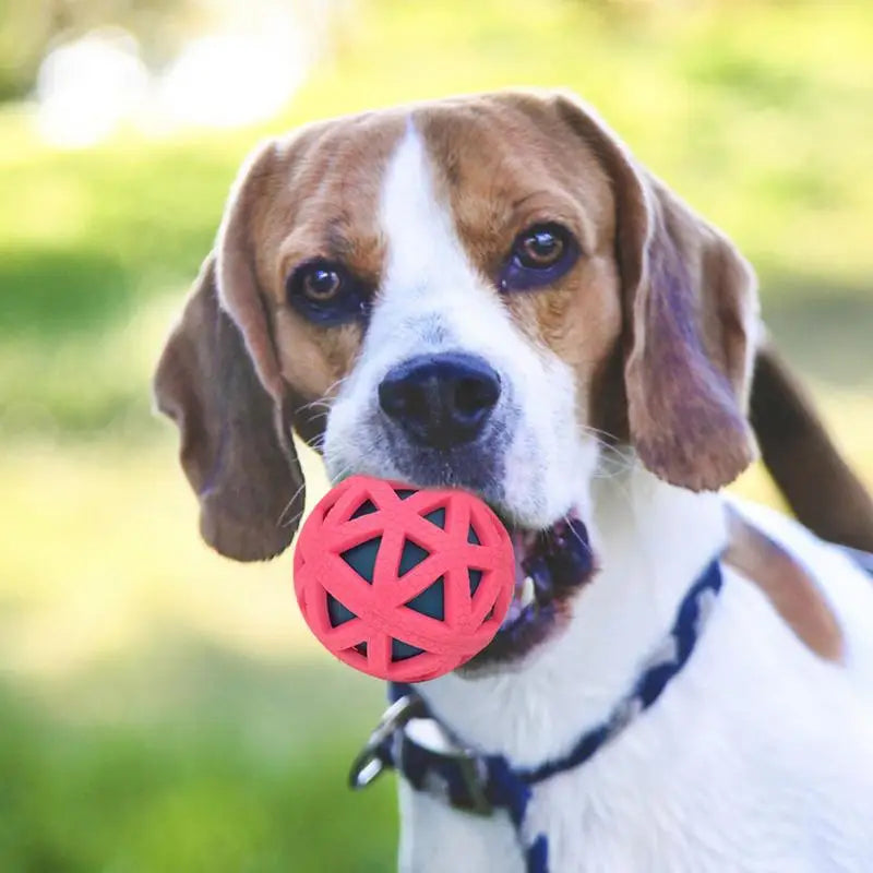 Dog Fetch Ball Treat Dispenser Fun Sounds Interactive Dog Toys