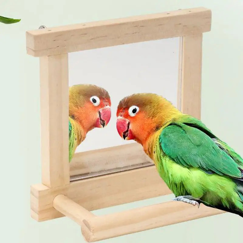 Bird Mirror Perches