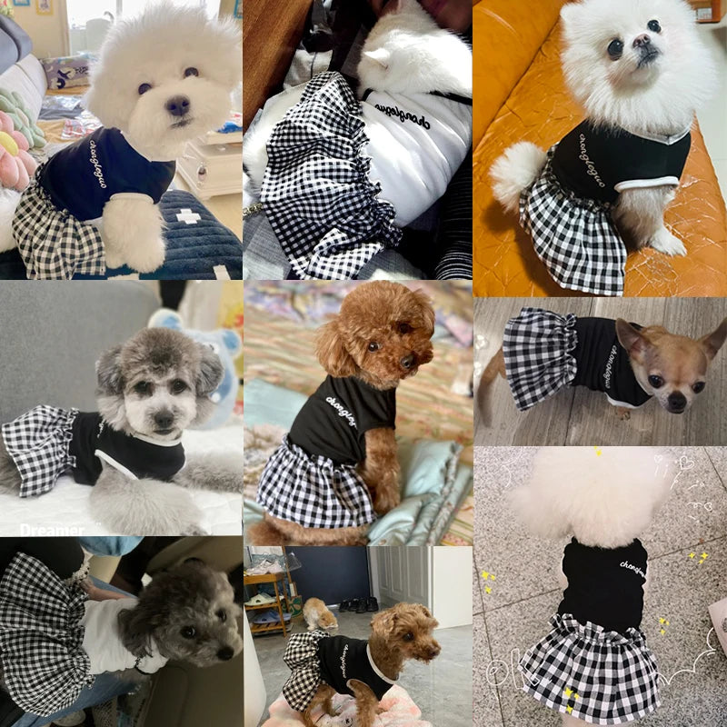 Summer Pet Dress Simple Plaid Luxury Skirts Chihuahua Yorkies Thin Breathable Dresses Cat Soft Skirt Puppy Clothes Dog Supplies