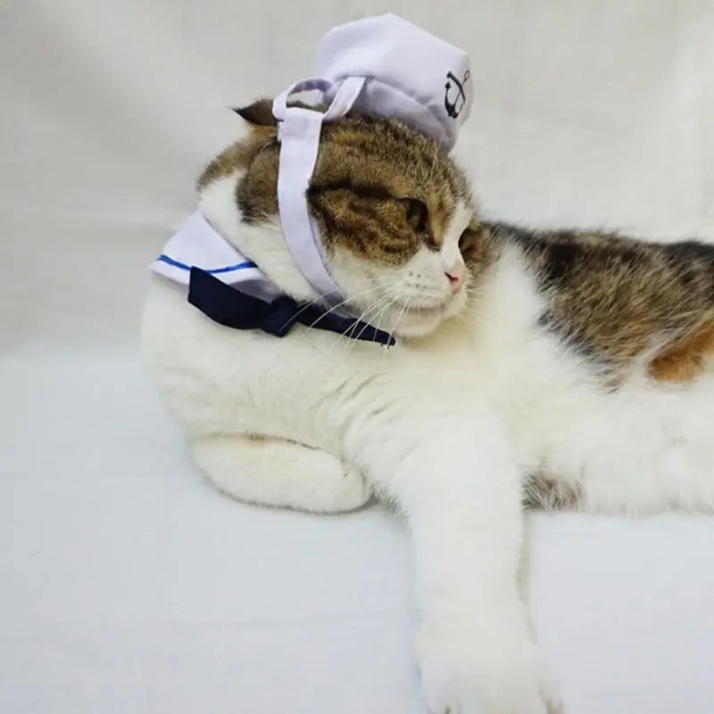 Sailor Style Hat Plus Scarf Suit For Dogs And Cats Pet Cap And Cape Navy Cloak