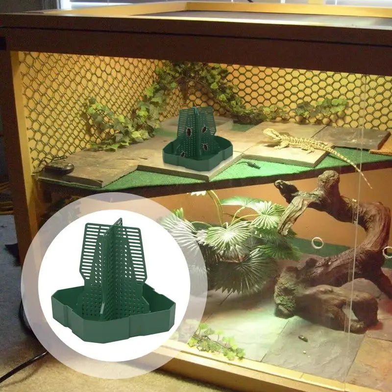 Bearded Dragon Feeder Chameleon Feeder