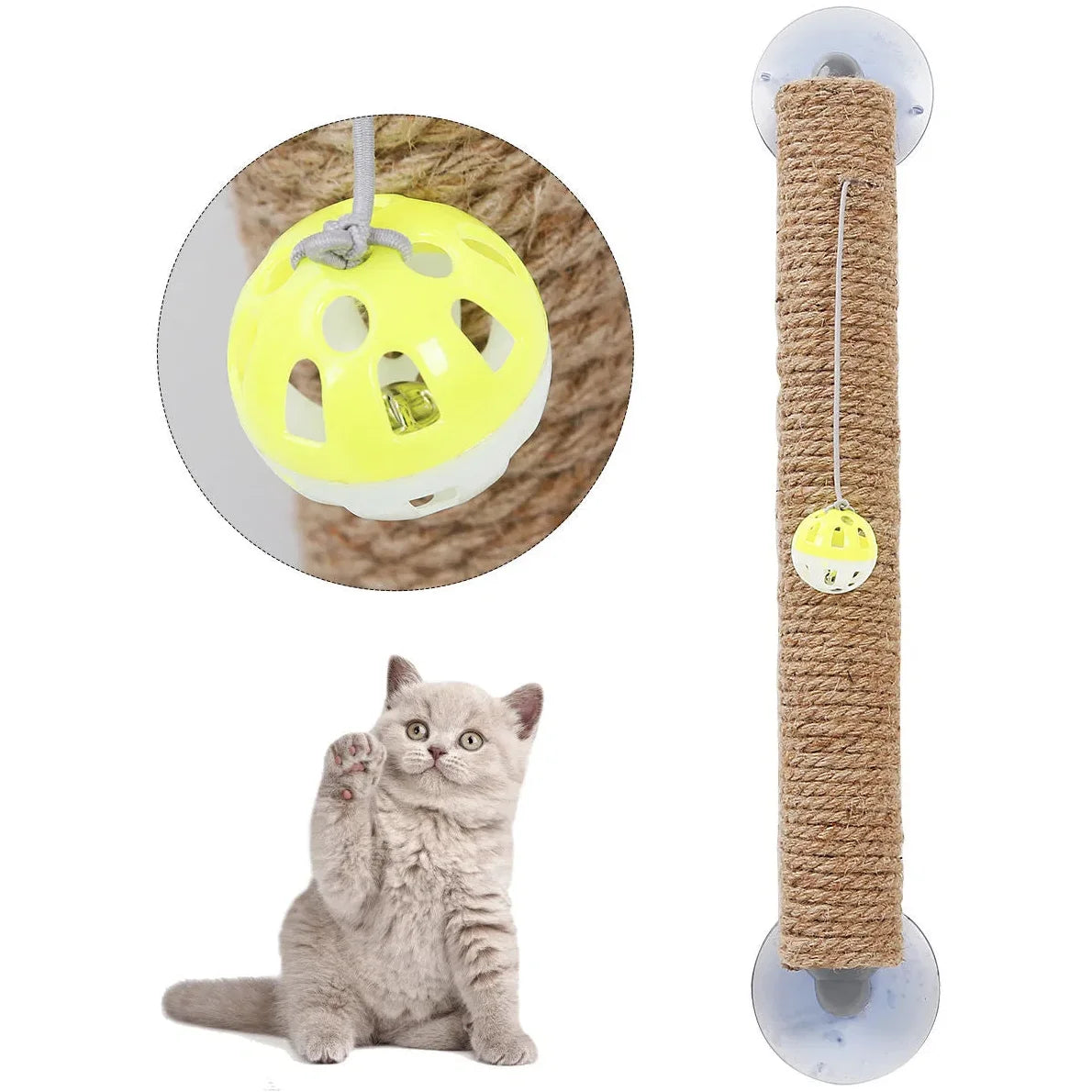 Toy Suction Cup Cat Scratcher