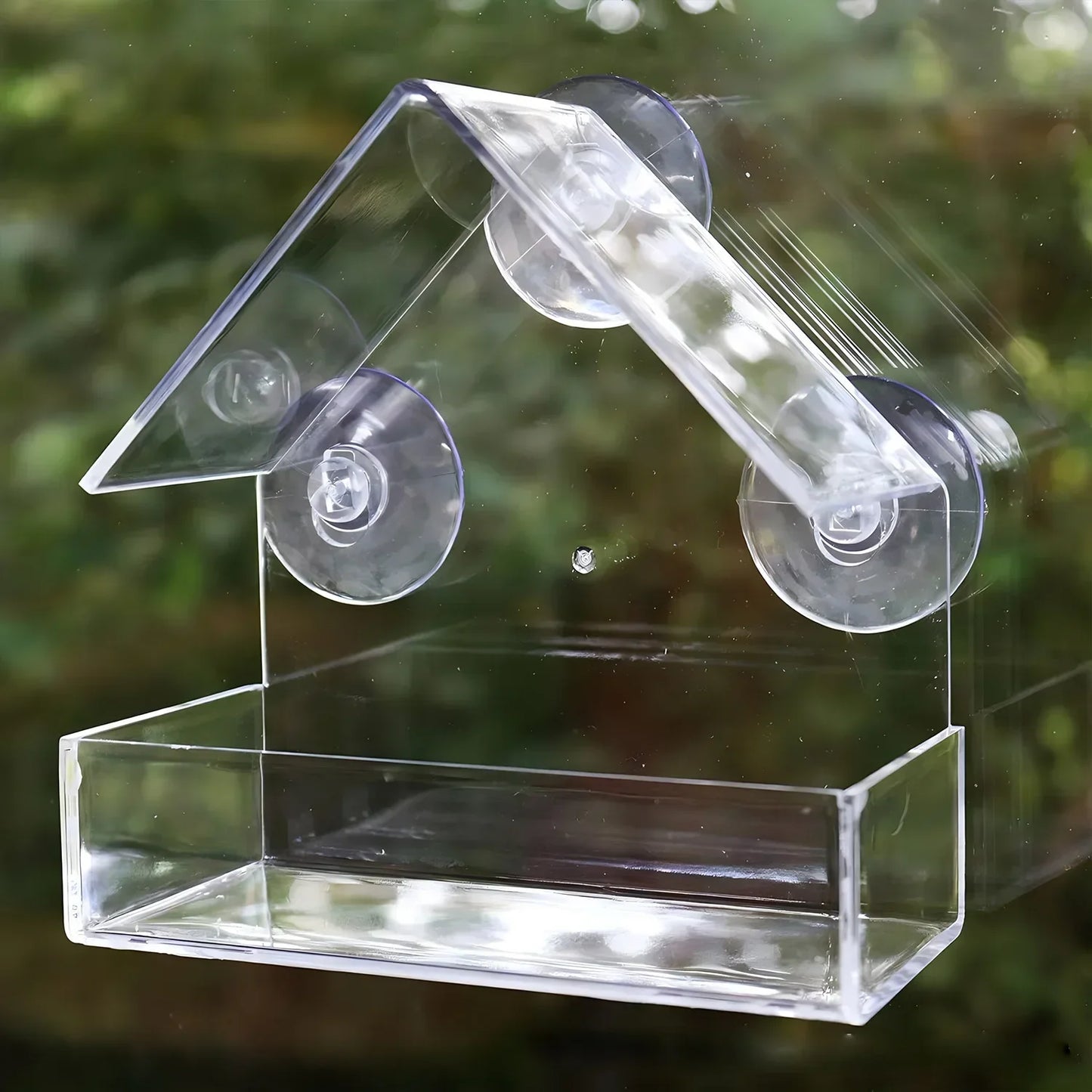 Transparent Window Wild Bird Feeder