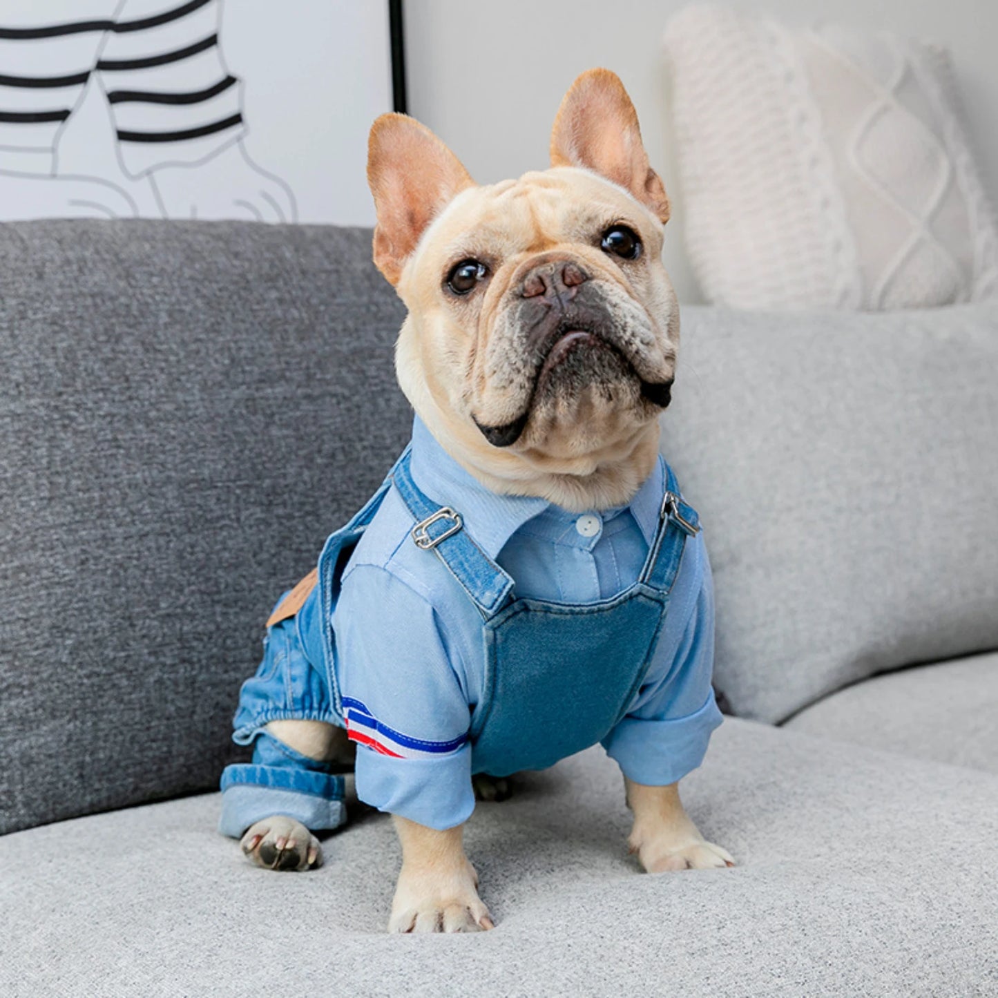 French Bulldog Denim Jumpsuit - Stylish Pet Clothes for All Seasons, Adjustable