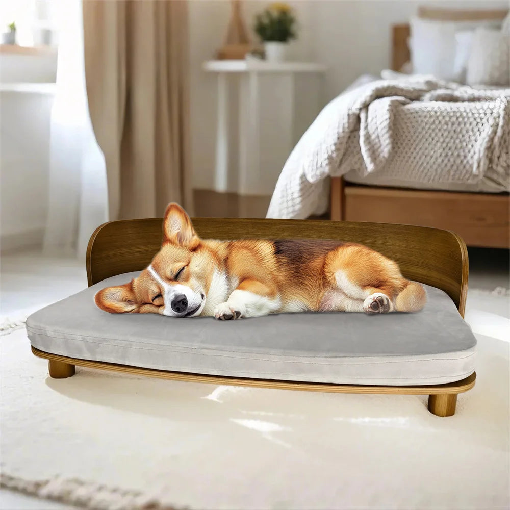 Elevated Dog or Kitten Sofa Bed
