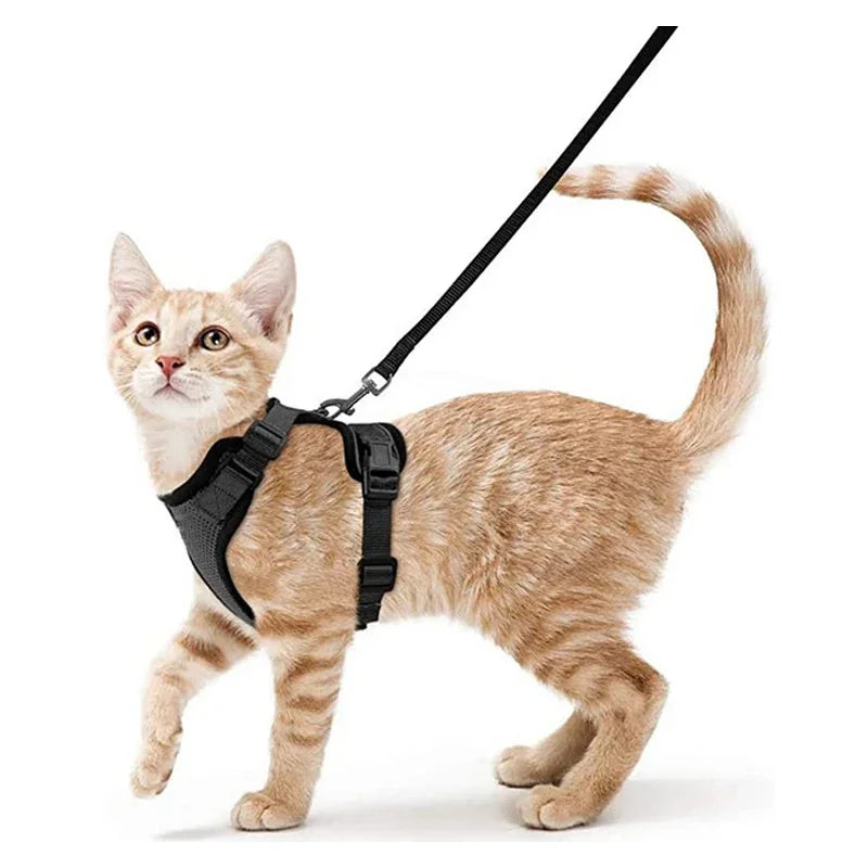 Cat Harness and Leash for Walking, Escape Proof Soft Adjustable Vest Harnesses for Cats