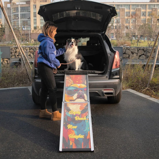 Retractable Aluminum Dog Ramp