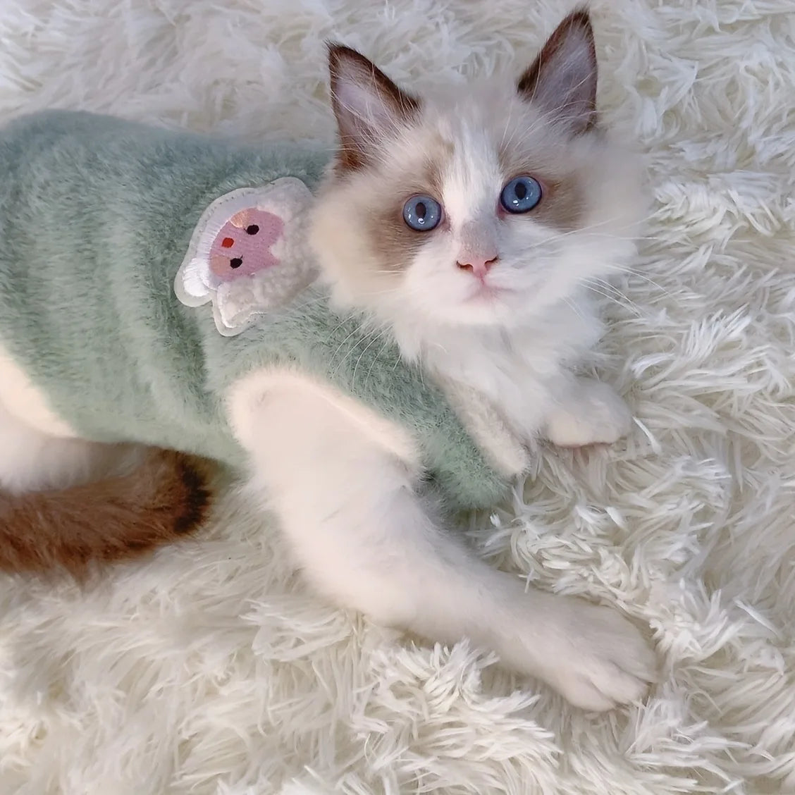 Warm Kittens and Dog Clothes for Winter